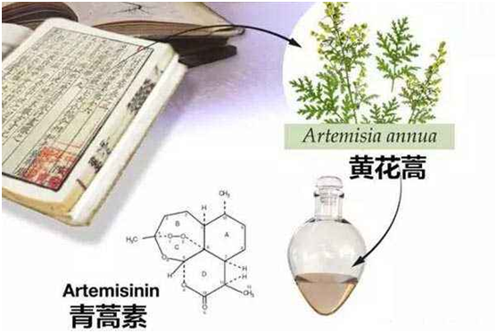 MK在线,MK（中国）：向中医药看齐，与世界共享中医药文化(图1)